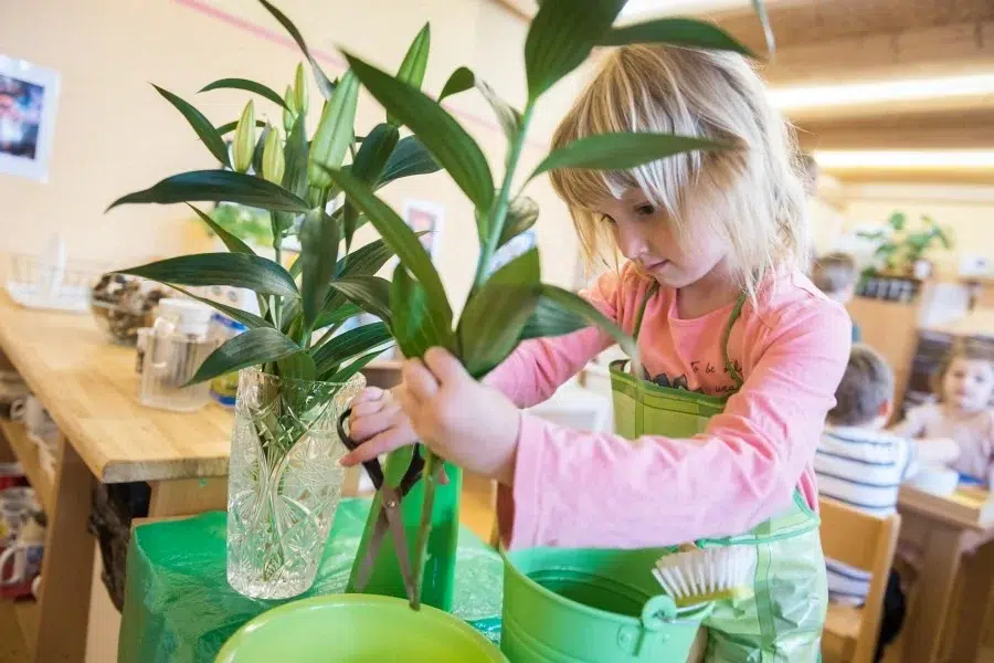 Child working with zoology materials