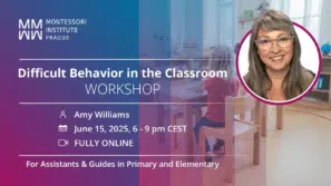 Register for Difficult Behavior in the Classroom