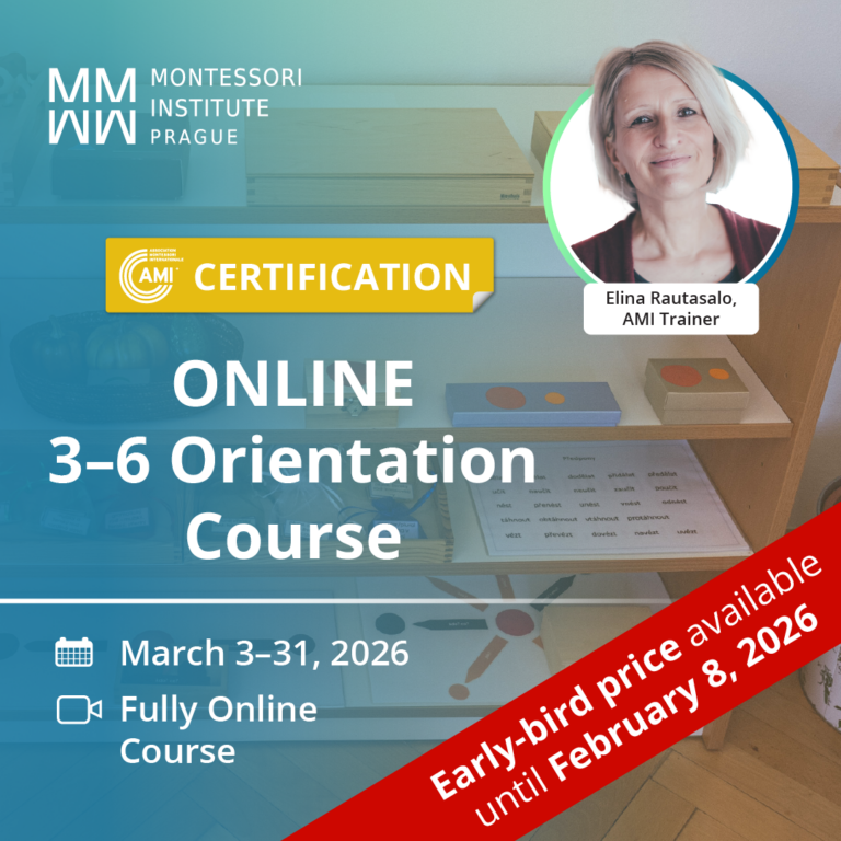 Online AMI 3-6 Orientation Course