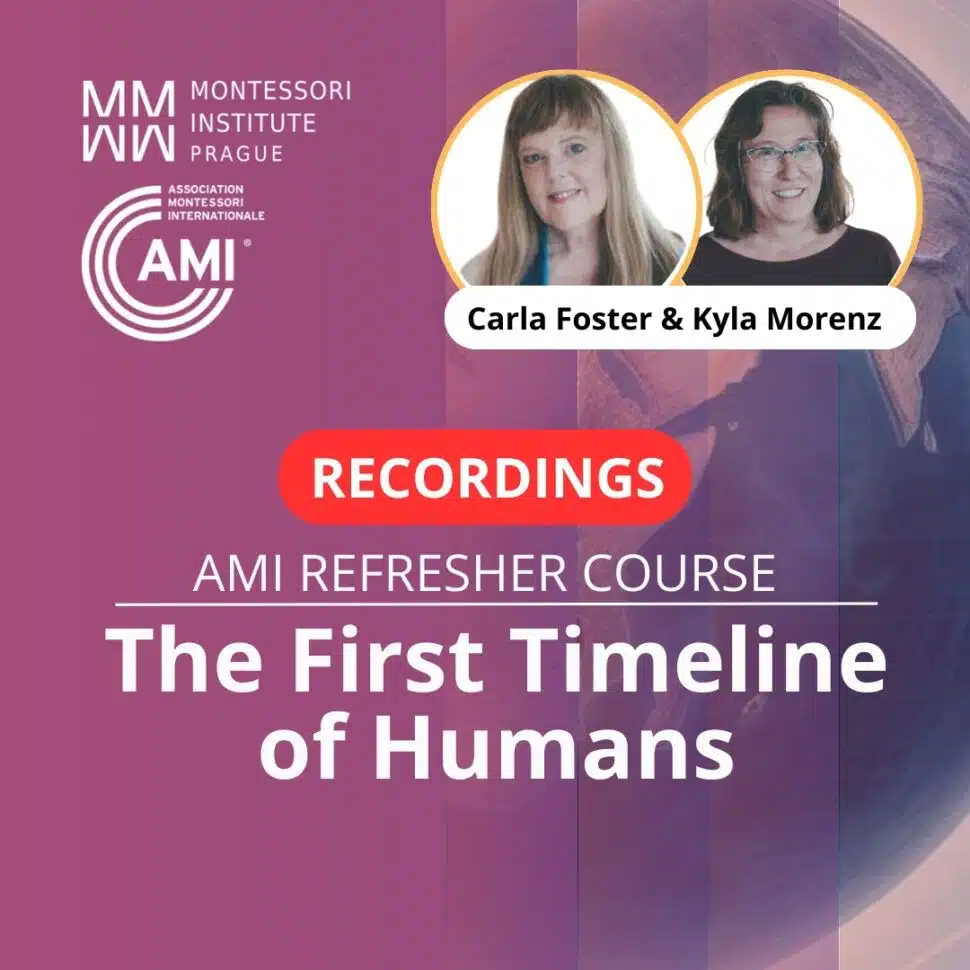 The First Timeline of Humans