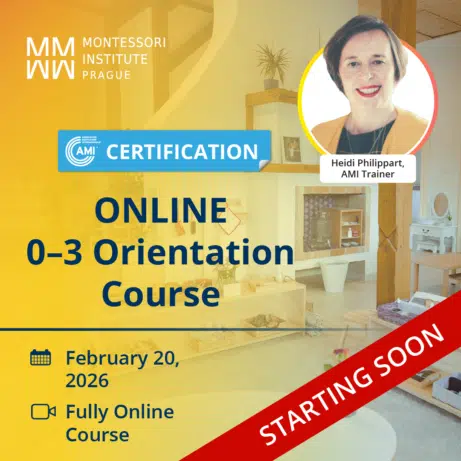 ONLINE AMI 0-3 Orientation Certificate Course