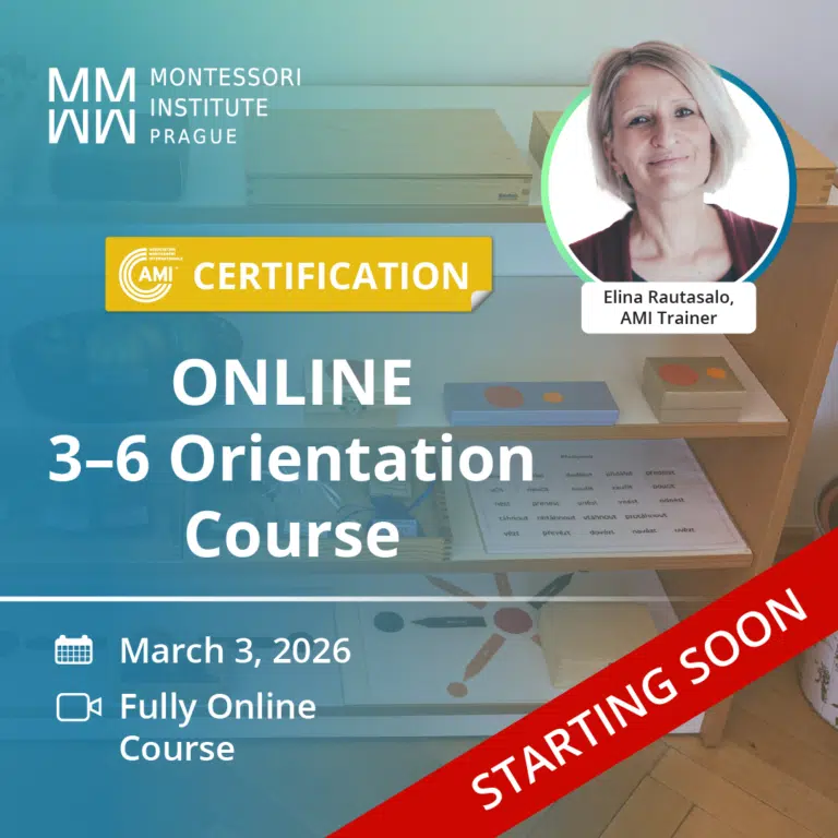 Online AMI 3-6 Orientation Course