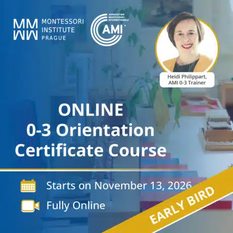 ONLINE AMI 0-3 Orientation Certificate Course