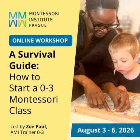 A Survival Guide: How to Start a 0-3 Montessori Class