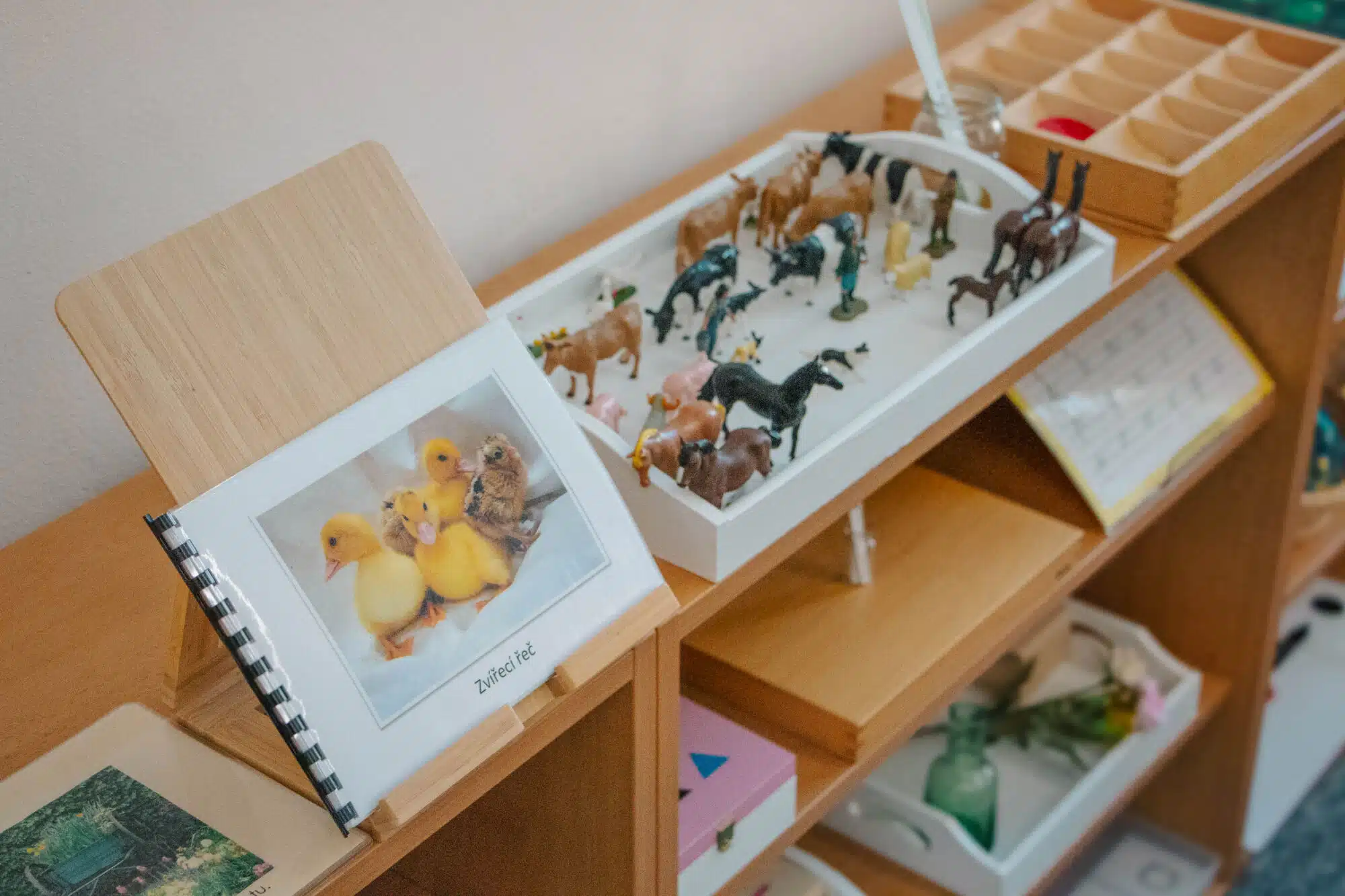 Animal materials on a shelf in a Montessori Children's House