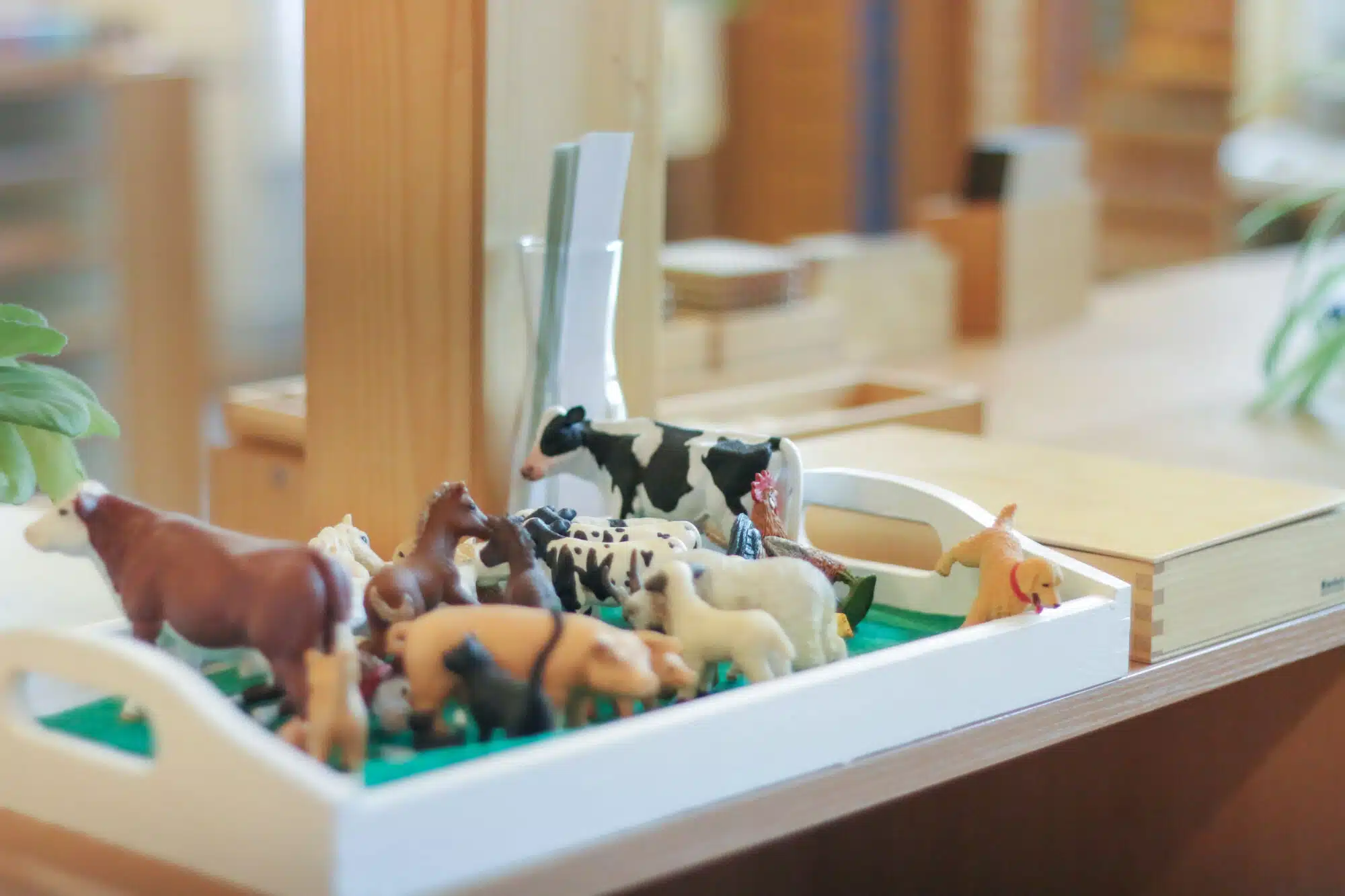 Animal figures and zoology materials in a prepared Montessori environment
