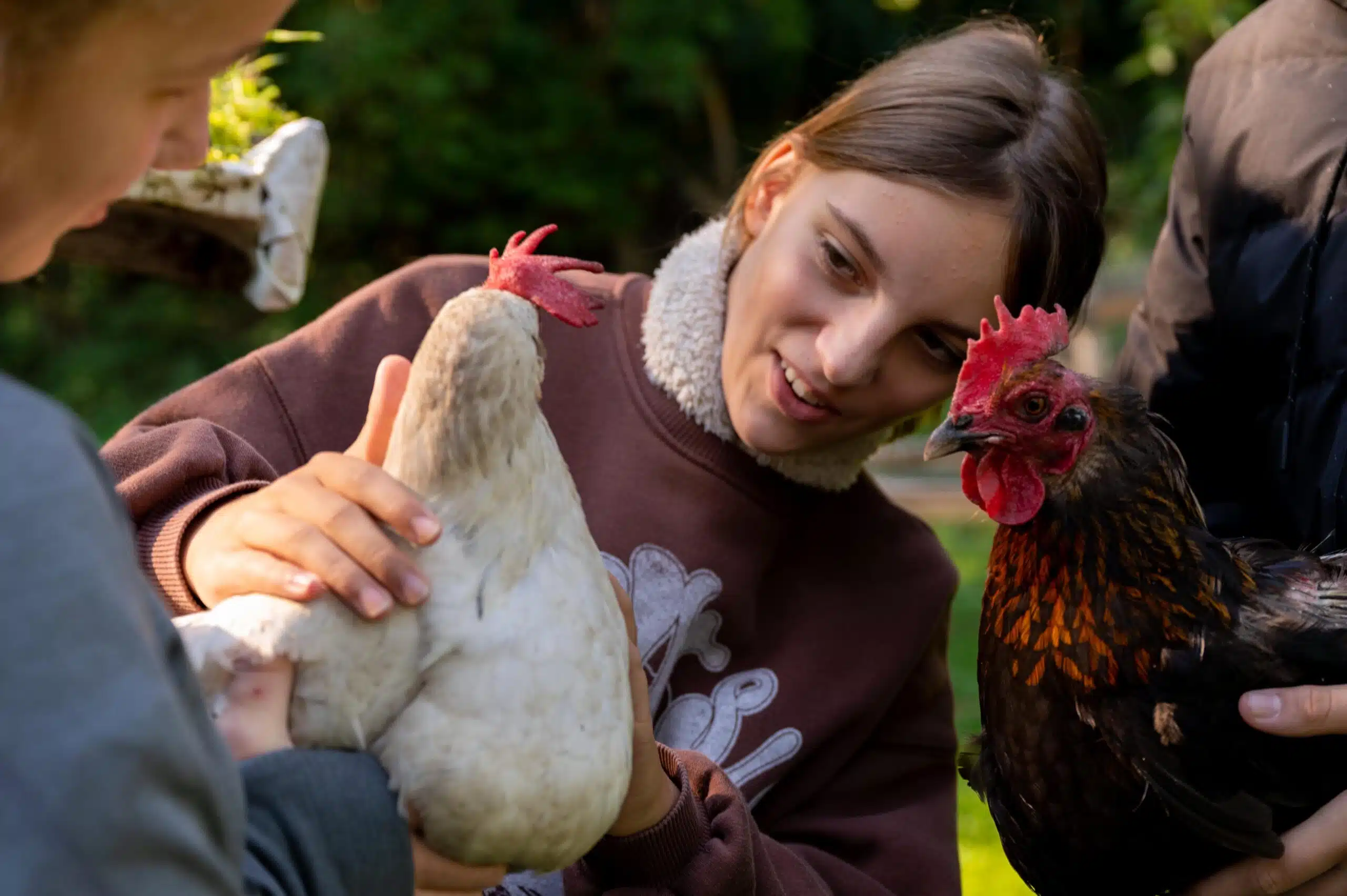 A student at Montessori Oberschule Strausberg holding one of the school's hens while a&nbsp;classmate holds another.